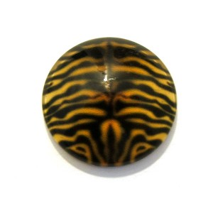 https://www.deida.ro/17168-23919-thickbox/disponibil-5-bucati-csp14mm-a-344-cabochon-sticla-print-animal-print-14mm-stoc-foarte-limitat.jpg